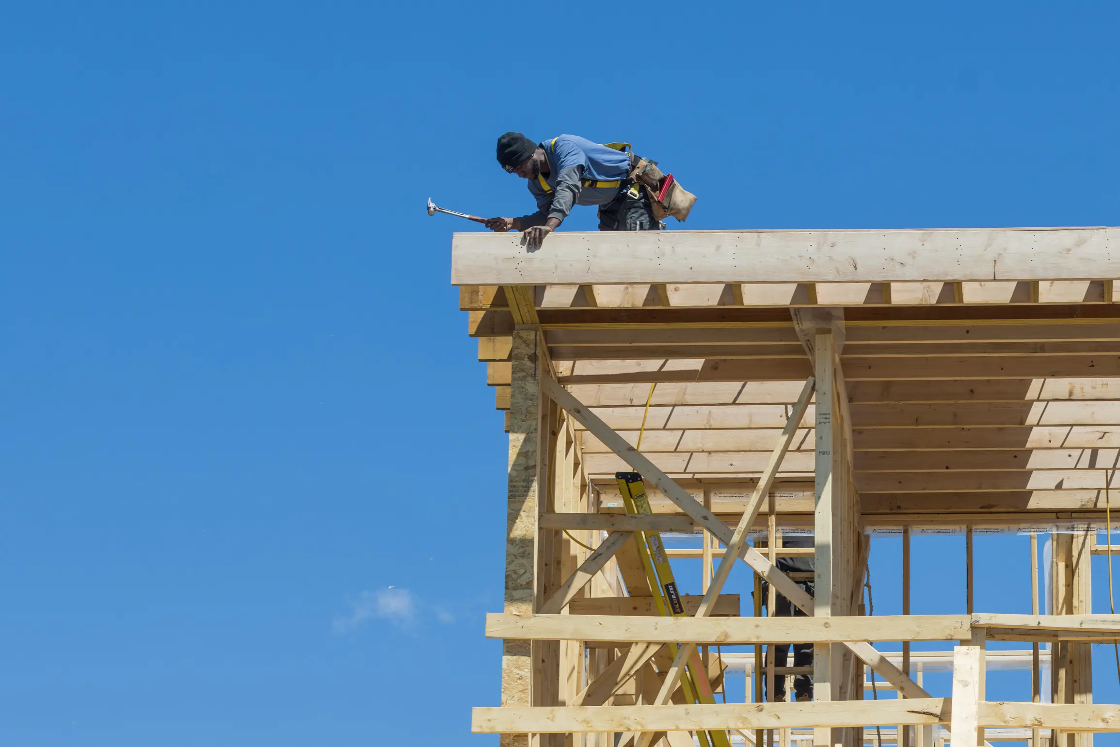 IMG_1127-Enhanced-NR